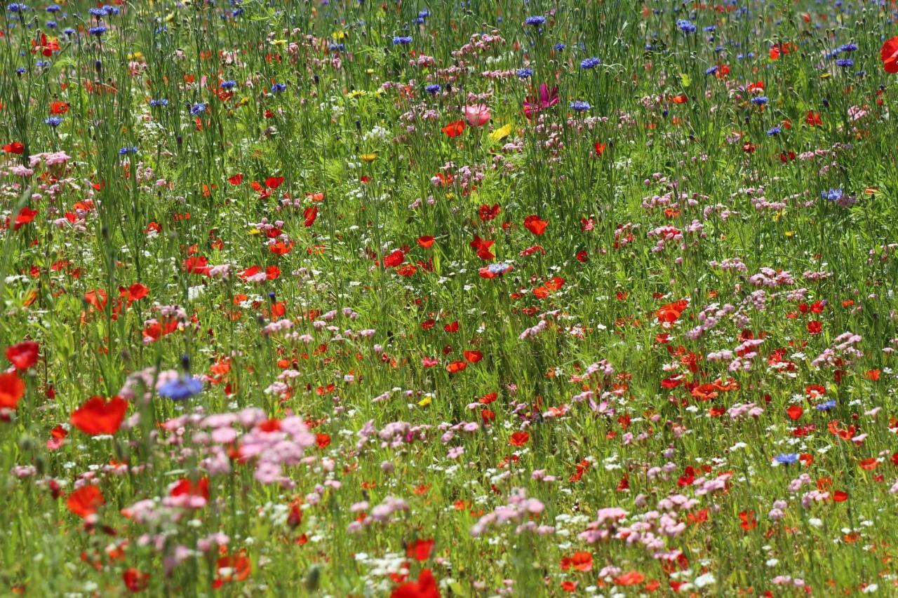 De Lokroep Heers Buitenkant foto